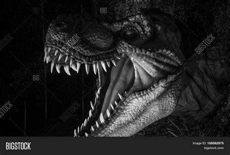 Tyrannosaurus Rex, Strong Jaw Full Image & Photo | Bigstock