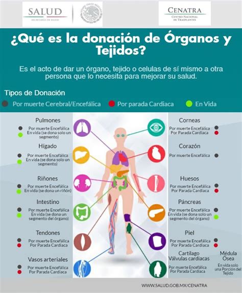 Aumenta la donación de órganos en México Secretaría de Salud