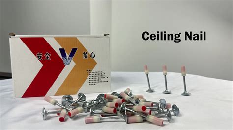 China Factory Supply Mini Ceiling Nails 27mm With Washer For Ceiling