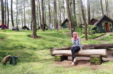 Review Lokasi Dan Tiket Taman Hutan Jayagiri Lembang Pariwisataku