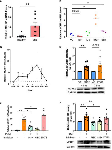 Frontiers Pdgf Promotes Dermal Fibroblast Activation Via A Novel