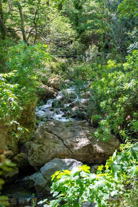 Sapadere Canyon With River Wooden Paths And Cascades Of Waterfalls In