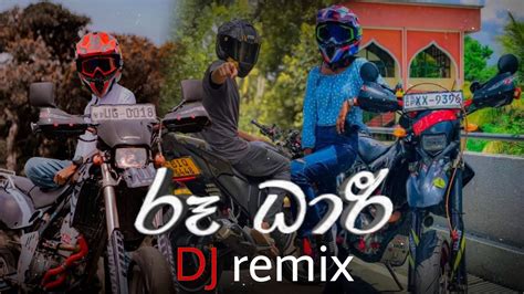 Bikelovers5161 රූ ධාරි Ru Dhari 2023 Song Dj Remix And Bike Stunt Video Youtube