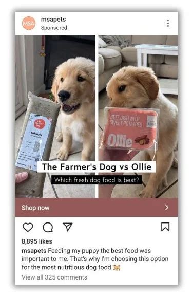 13 Best Instagram Ad Examples (+Why They Work) | LocaliQ