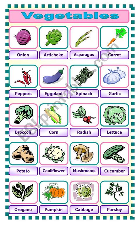 Vegetables Pictionary Esl Worksheet By Twistedlogic20