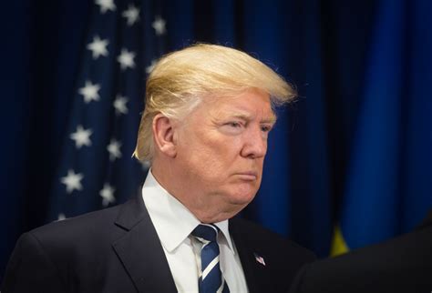 FT Donald Trump va solicita statelor membre NATO să mărească