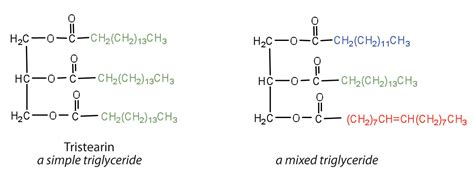 Fats And Oils