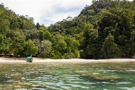 Rimba Ecolodge - Rainforest and Reefs on the West Sumatran Coast