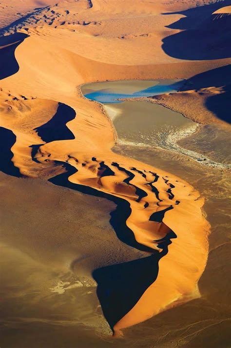 Namib Sand Sea Namibia Is The Only Coastal Desert In The World That