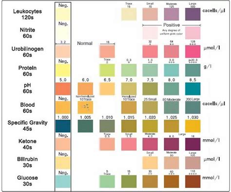 Urinalysis Urine Testing Types Process Results Interpretation