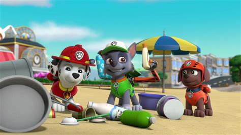 Rockygallerypups Save A Trash Dinger Paw Patrol Wiki Fandom Los