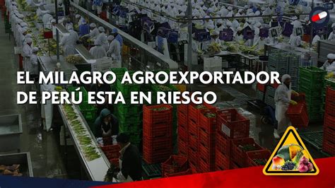 EL MILAGRO AGROEXPORTADOR DE PERÚ ESTA EN RIESGO YouTube