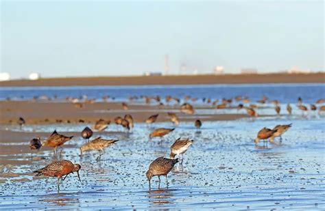 En Villa del Mar habrá actividades por el Día Mundial de los Humedales