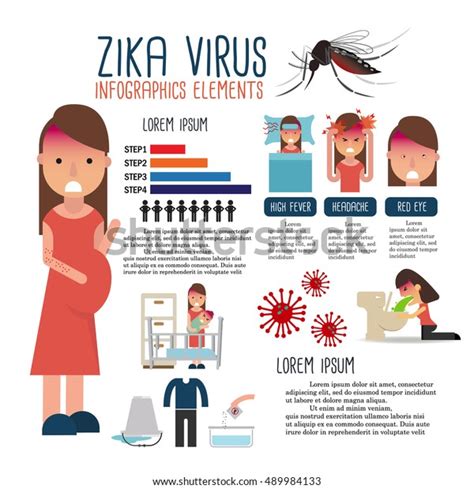 Zika Virus Infographics Stock Vector Royalty Free 489984133