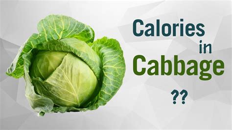 Healthwise Diet Calories How Many Calories In Cabbage Calories Intake And Healthy Weight Loss