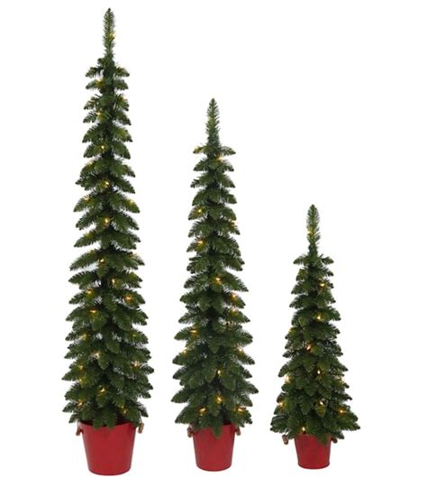 Three Potted Trees With Lights On Them In Front Of A White Background