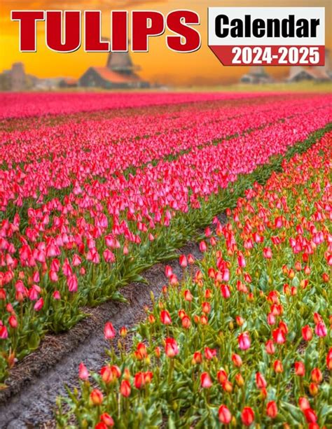 Gardening Advent Calendar Usa Karie Marleen