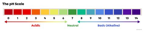 The pH Scale and Acid-Base Indicators | Secondaire | Alloprof