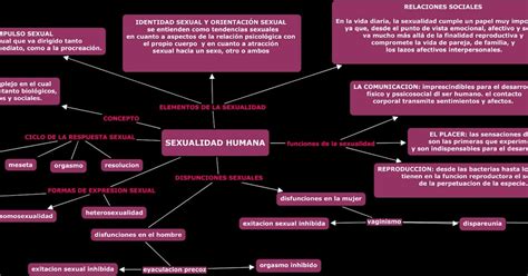 Sexualidad Humana Mapa Mental De Sexualidad Humana