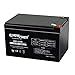 Amazon ExpertPower 12 Volt 12 Ah Rechargeable Battery With F2