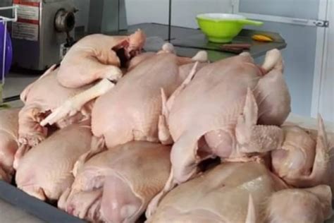 Incrementa El Precio Del Pollo En Sabancuy El Kilo Se Vende En