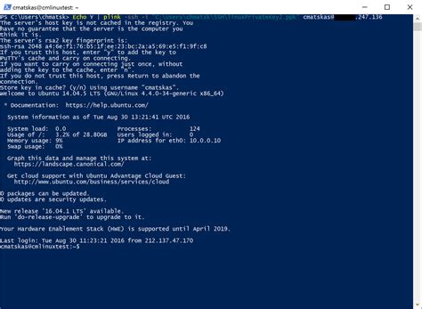 Run SSH With PowerShell