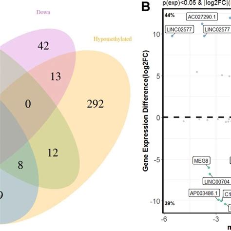 The Association Between Lncrnas M6a Methylation And Expression A