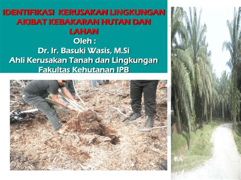 PDF IDENTIFIKASI KERUSAKAN LINGKUNGAN AKIBAT KEBAKARAN HUTAN DAN LAHAN