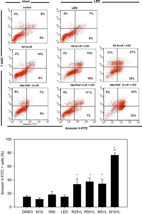 Annexin V Fitc Aad Double Staining Of Wm Cells Irradiated With Blue