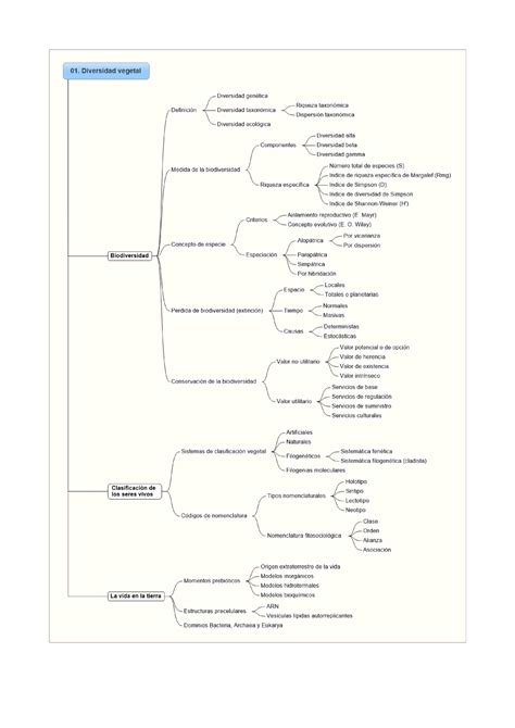 Diversidad Vegetal Esquemas Studocu
