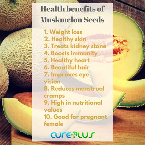 10 Amazing Health Benefits Of Muskmelon Seeds Health Healthcare