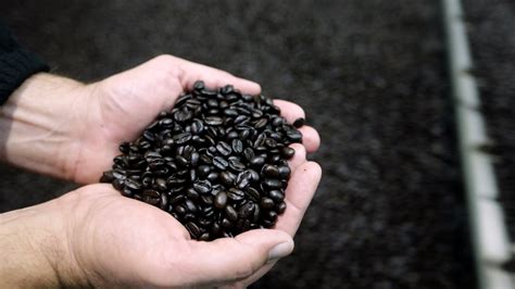 Critics Debate Keurig Starter Kit Environmental Impact On The Earth - RYZE Superfoods