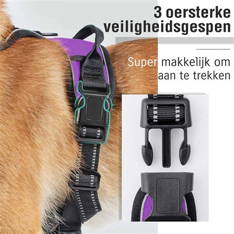 Sharon B Hondentuigje Voor Middelgrote Honden Paars Maat M No