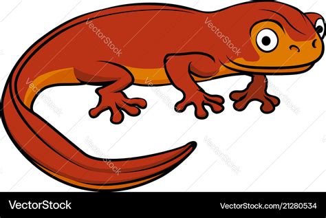 Cartoon newt Royalty Free Vector Image - VectorStock