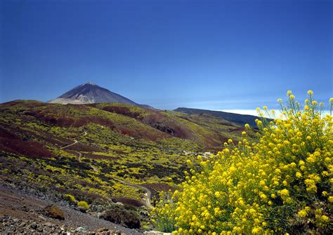 Mount Teide Tenerife View Towards Teide Discover Costa Adeje Flickr