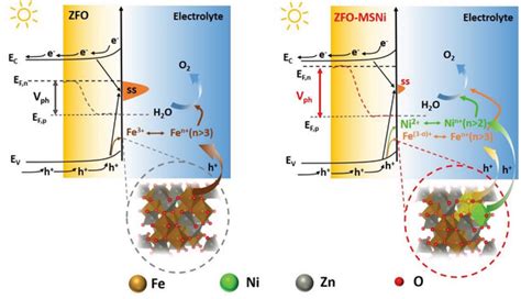 Schematic Illustration Of The Energy Band Structure At ZFO Electrolyte