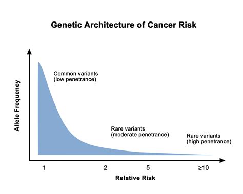 Genetics Of Breast And Gynecologic Cancers Pdq® Health Professional