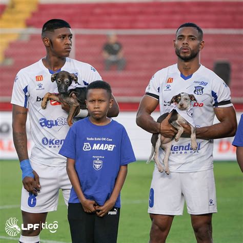 LPF on Twitter ELIGE ADOPTAR La Liga Panameña de Fútbol y MOCA se