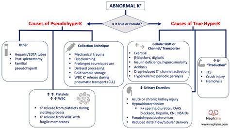 Case 27: Diagnosis & Conclusions