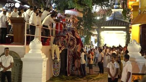 Sri Lanka Sfilate Con Danze E Acrobati Al Festival Navam Perahera