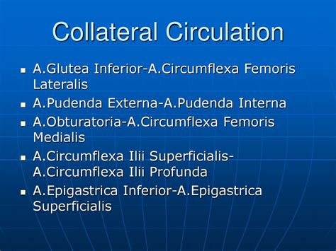 Anatomical And Physiological Substantiations Of Operative Interventions