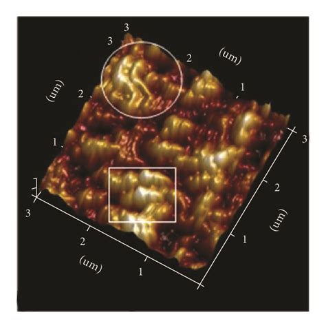 D Surface Topography Afm Images Of The Ch Nh Pbi Perovskite Films