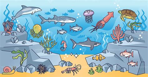 Marine Ecosystem With Various Swimming Underwater Creatures Outline