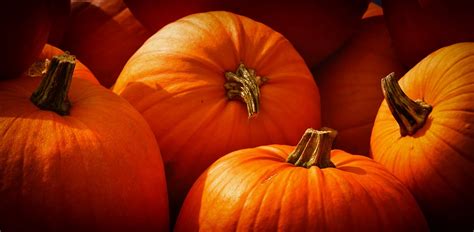 Vicenza Festa Della Zucca Ghizzole Date Orari Biglietti E