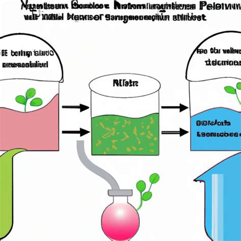 Exploring How Does Nitrogen Get Into Plants The Enlightened Mindset