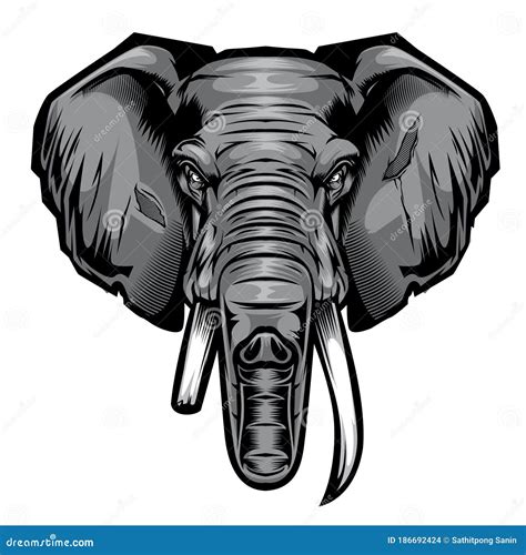 Head Elephant Drawing Vector Illustrator Editorial Stock Image