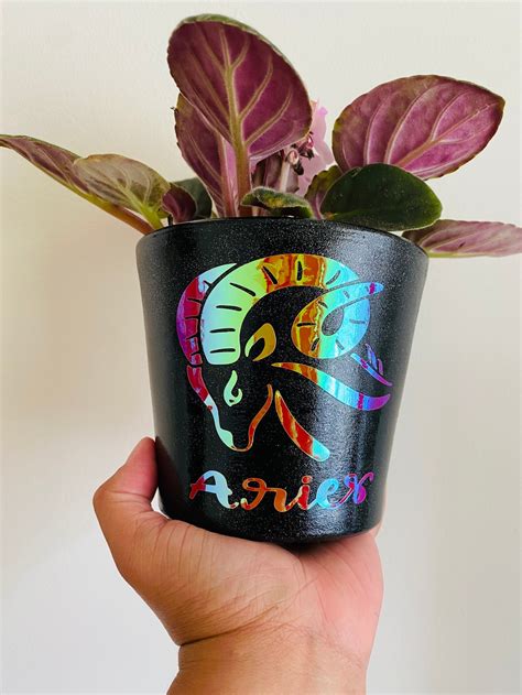 Aries Zodiac Plant Pot 4 Inch Planter With Drainage Hole Etsy