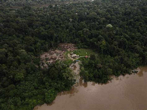 Desmatamento em áreas protegidas da Amazônia tem queda de 73 em 2023