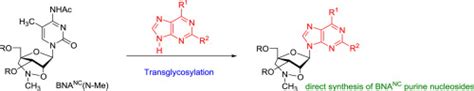 Direct And Practical Synthesis Of 2 O 4 C Aminomethylene Bridged