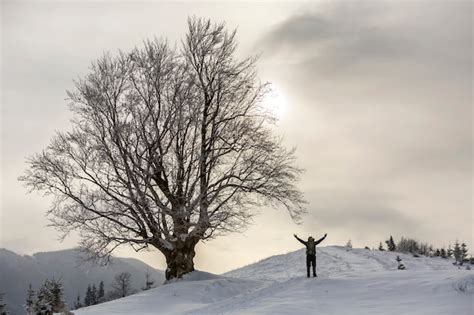 Vista Traseira Do Caminhante Do Turista A Mochila Em P Na Neve